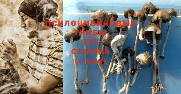альфа пвп Михайловск