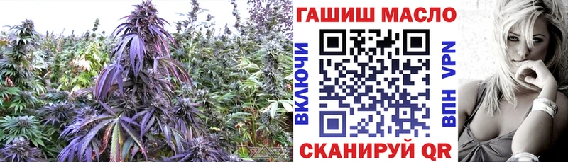 ТГК Wax  МЕГА   Суоярви 