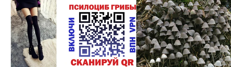 Псилоцибиновые грибы ЛСД  Суоярви 